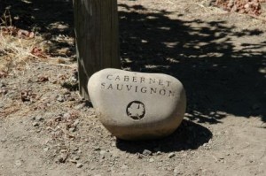 Caberent Sauvignon Stone Marker