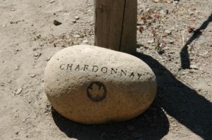 Chardonnay Stone Marker