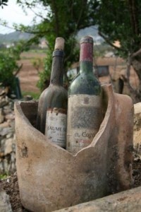 Old Spanish wine bottles by wimdemo