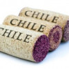 BOTTLE TALK: Discover or re-discover Chilean wine