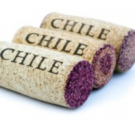 BOTTLE TALK: Discover or re-discover Chilean wine